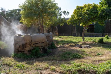 Dubai, Birleşik Arap Emirlikleri 22 Ocak 2021 Dubai Safari Parkı (Dubai Hayvanat Bahçesi))