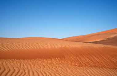 Nazwa ve pembe kaya çöllerinin etrafında, çöldeki kum ve bitkileri görmek, Sharjah, Birleşik Arap Emirlikleri