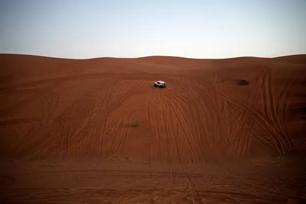 Alrededor Nazwa Desierto Roca Rosa Observación Arena Planta Desierto Sharjah —  Fotos de Stock