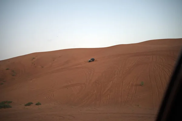 Nazwa Pink Rock Desert View Sand Plant Desert Sharjah Zjednoczone — Zdjęcie stockowe