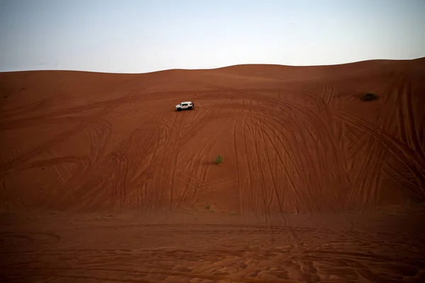 Nazwa Pink Rock Desert View Sand Plant Desert Sharjah Zjednoczone — Zdjęcie stockowe