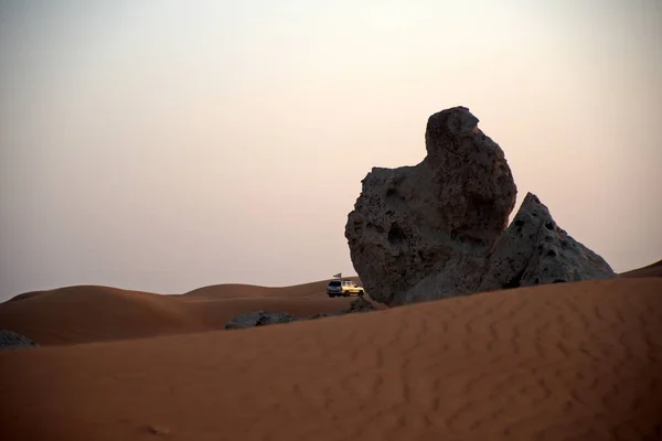 Torno Nazwa Rosa Deserto Rocha Visualização Areia Planta Deserto Sharjah — Fotografia de Stock