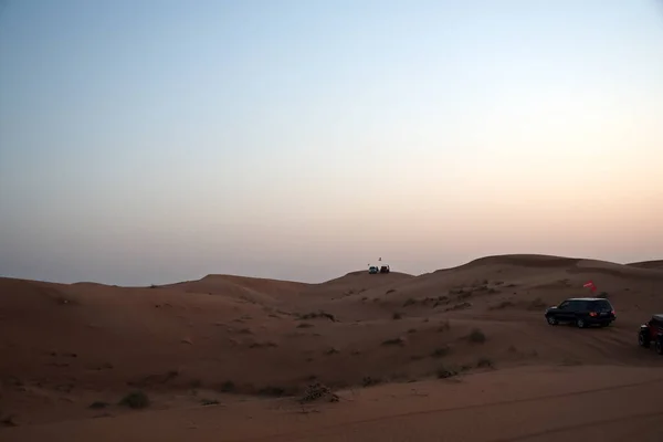 Kolem Nazwa Růžové Skály Pouště Pohled Písek Rostliny Poušti Sharjah — Stock fotografie