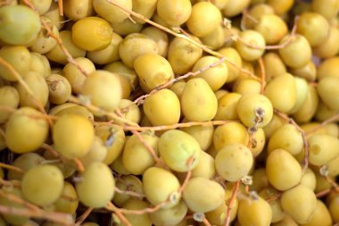 Taze tarihleri satış için hazır