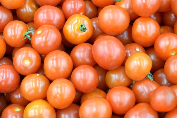 Bebé Tomate fresco listo para la venta — Foto de Stock