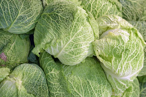 Fresh Cabbage ready for sale — Stock Photo, Image