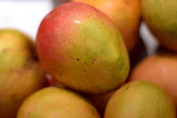 Taze Hint Mango satış için hazır