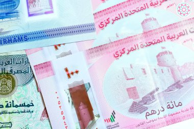 Birleşik Arap Emirlikleri para biriminin (AED) yüksek kaliteli, tepeden tırnağa bir görüntüsü, renkli Emirati banknotları ve gümüş Dirham paralarının karışımı. Resimde BAE Dirham 'ın yerel kültür sembolleri ve portresi de dahil olmak üzere ayrıntılı tasarımı yer alıyor.