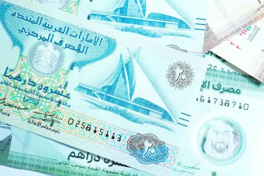 Birleşik Arap Emirlikleri para biriminin (AED) yüksek kaliteli, tepeden tırnağa bir görüntüsü, renkli Emirati banknotları ve gümüş Dirham paralarının karışımı. Resimde BAE Dirham 'ın yerel kültür sembolleri ve portresi de dahil olmak üzere ayrıntılı tasarımı yer alıyor.