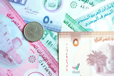 Birleşik Arap Emirlikleri para biriminin (AED) yüksek kaliteli, tepeden tırnağa bir görüntüsü, renkli Emirati banknotları ve gümüş Dirham paralarının karışımı. Resimde BAE Dirham 'ın yerel kültür sembolleri ve portresi de dahil olmak üzere ayrıntılı tasarımı yer alıyor.
