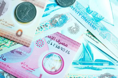 Birleşik Arap Emirlikleri para biriminin (AED) yüksek kaliteli, tepeden tırnağa bir görüntüsü, renkli Emirati banknotları ve gümüş Dirham paralarının karışımı. Resimde BAE Dirham 'ın yerel kültür sembolleri ve portresi de dahil olmak üzere ayrıntılı tasarımı yer alıyor.