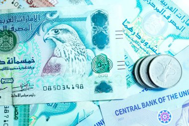 Birleşik Arap Emirlikleri para biriminin (AED) yüksek kaliteli, tepeden tırnağa bir görüntüsü, renkli Emirati banknotları ve gümüş Dirham paralarının karışımı. Resimde BAE Dirham 'ın yerel kültür sembolleri ve portresi de dahil olmak üzere ayrıntılı tasarımı yer alıyor.