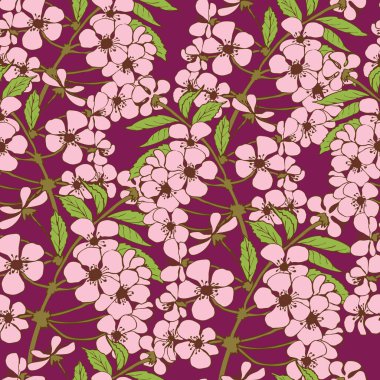 Cherry blossom seamless pattern. Sakura flowers vector design