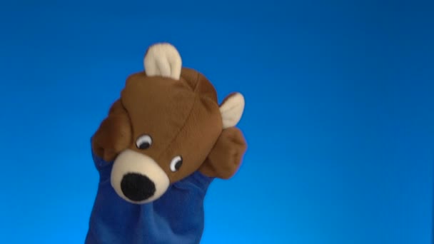 Teddybär Puppenspielzeug auf blauem Hintergrund — Stockvideo