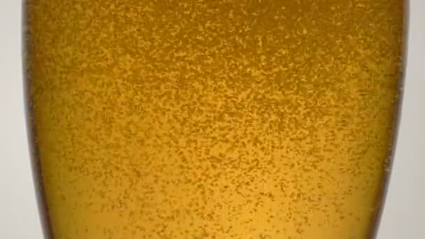 Beer with bubbles close up — Stock Video