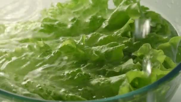 Agua que vierte a la ensalada verde fresca — Vídeo de stock