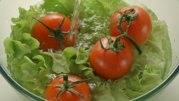 Ensalada verde fresca con tomates en un tazón de agua — Vídeo de stock
