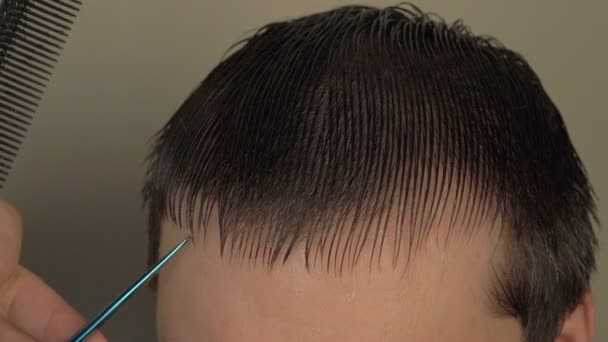 Мужчина парикмахер стрижет клиентов мокрыми волосами в салоне — стоковое видео
