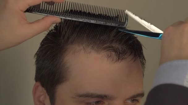 Hands of a hair stylist trimming hair with a comb and scissors — Stock Video