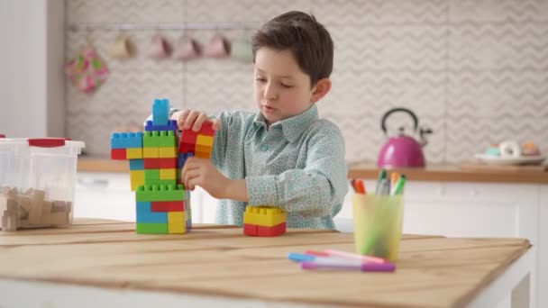 Glad söt liten kaukasisk skolunge spelar spel byggnad konstruktör torn från färgglada plastblock, skolpojke har kul hemma, barn utveckling, lektid koncept — Stockvideo