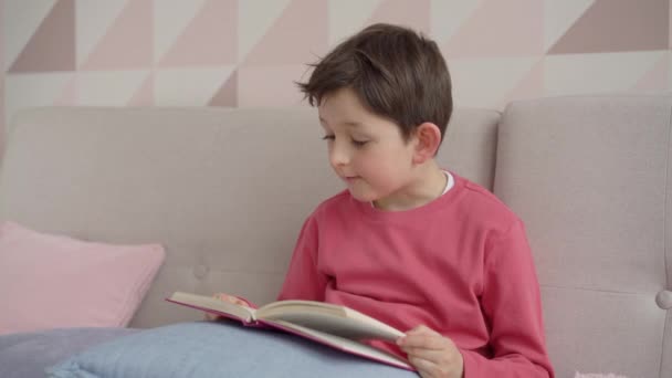 Niño preescolar leyendo libro en casa sentado en el sofá, lindo colegial inteligente haciendo tarea, aprendizaje a distancia en el hogar y concepto de educación a distancia — Vídeos de Stock