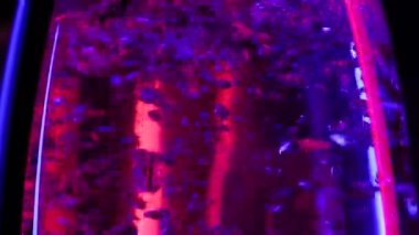 Renkli kaynar suyla birlikte şeffaf buharlı elektrikli su ısıtıcısı. Cam çaydanlıkta yükselen mavi ve kırmızı hava kabarcıklarının stüdyo görüntüsü, çözünürlüğü yavaş çekim akışkan arka planıyla yakın çekim