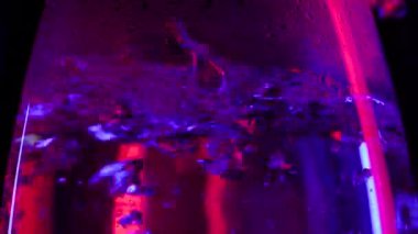 Renkli kaynar suyla birlikte şeffaf buharlı elektrikli su ısıtıcısı. Cam çaydanlıkta yükselen mavi ve kırmızı hava kabarcıklarının stüdyo görüntüsü, çözünürlüğü yavaş çekim akışkan arka planıyla yakın çekim