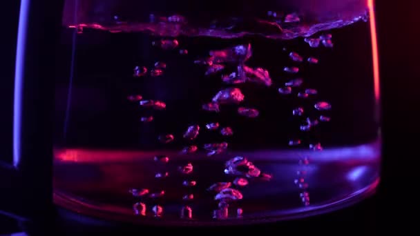 Электрический прозрачный стеклянный чайник с красочной кипящей водой. Студийный снимок синих и красных пузырьков воздуха, левитирующих в стеклянном чайнике, вид крупным планом с дефокус плавающего фона жидкости в замедленной съемке — стоковое видео