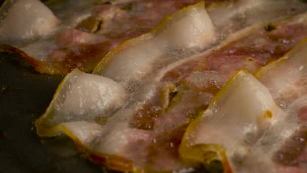 Bacon strips in koekenpan. — Stockvideo