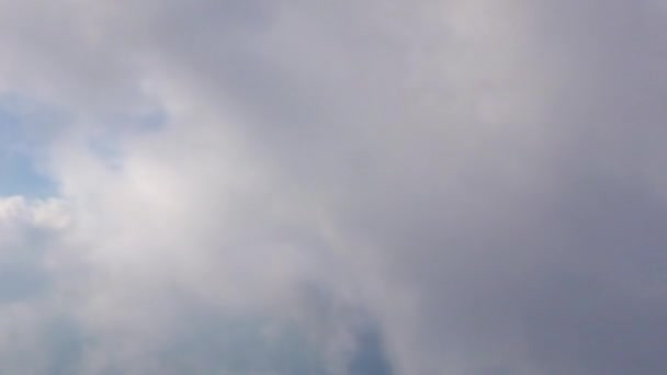 Самолет летит в дождевых облаках — стоковое видео