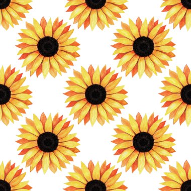 El çizimi, sarı çiçek açan ayçiçeklerinin kusursuz deseni. Parlak, güneşli çiçekler. Tasarım kartı, davetiye, duvar kağıdı, ambalaj kağıdı, kumaş için dekoratif sonbahar suluboya çizimi