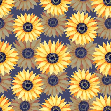 El çizimi, sarı çiçek açan ayçiçeklerinin kusursuz deseni. Parlak, güneşli çiçekler. Tasarım kartı, davetiye, duvar kağıdı, ambalaj kağıdı, kumaş için dekoratif sonbahar suluboya çizimi