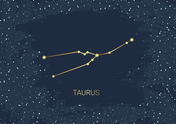 Carte Tirée Main Taureau Étoile Pinceau Constellation Espace Céleste Symbole — Image vectorielle