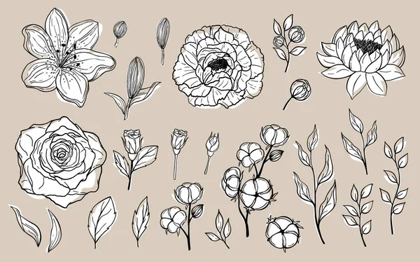 Conjunto Desenhado Mão Flores Folhas Peônia Rosa Lírio Lótus Elementos —  Vetores de Stock