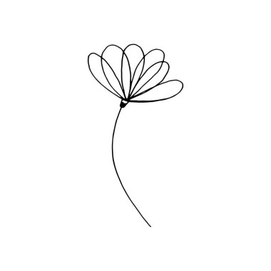 El çizimi çiçek beyaz arka planda izole. Dekoratif karalama çizimi. Vektör çiçek ögesi.