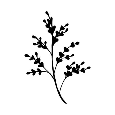 Hand drawn branch with leaves isolated on white background. Decorative doodle sketch illustration. Vector floral element.