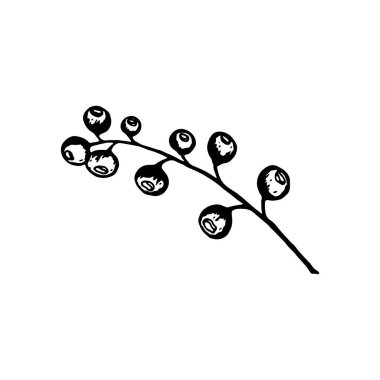 Hand drawn branch with berries isolated on white background. Decorative doodle sketch illustration. Vector element.