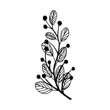 Hand drawn branch with leaves and berries isolated on white background. Decorative doodle sketch illustration. Vector floral element.