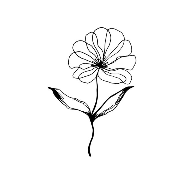 Flor Dibujada Mano Aislada Sobre Fondo Blanco Ilustración Decorativa Bocetos — Vector de stock