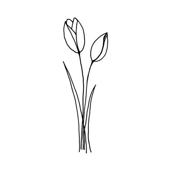 Flor Desenhada Mão Isolada Sobre Fundo Branco Desenho Decorativo Doodle — Vetor de Stock