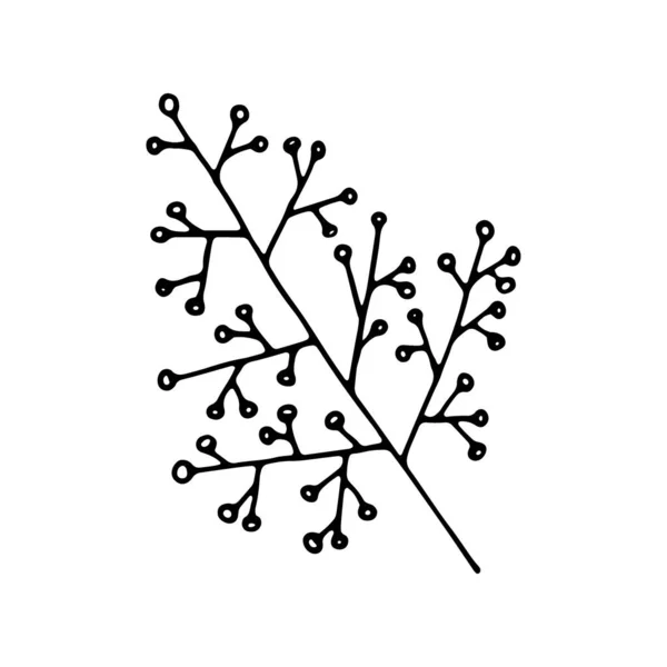 Hand Drawn Branch Berries Isolated White Background Decorative Doodle Sketch — Vector de stock