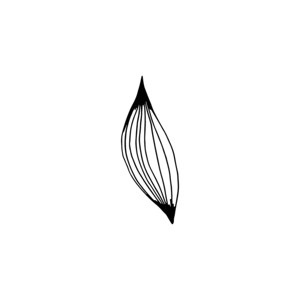 Hand Drawn Leaf Isolated White Background Decorative Doodle Sketch Illustration — 스톡 벡터