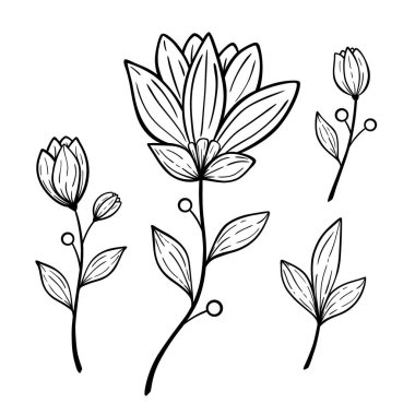 Yapraklı el çizimi çiçek. Dekoratif siyah beyaz karalama çizimi. Beyaz arkaplanda izole edilmiş vektör bitkisel ögesi.