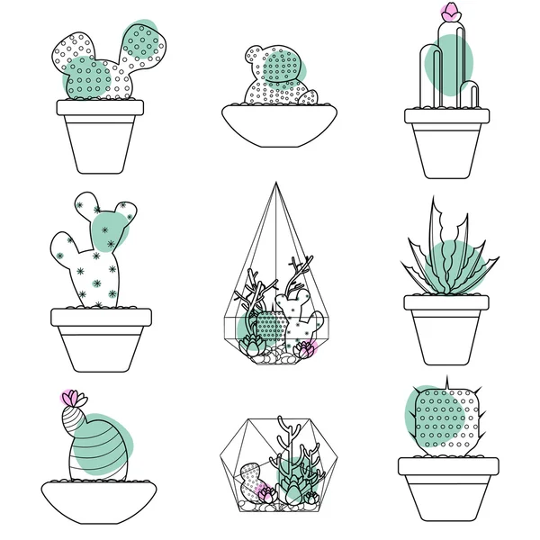 Conjunto de plantas suculentas e cactos em vasos e terrários de vidro. Linha botânica vetor icons.Vector ilustração . — Vetor de Stock