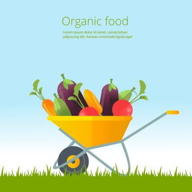 Organik sebze kavramı. Taze sebze ile el arabası. Vegetables.vector düz illüstrasyon organik tarımı