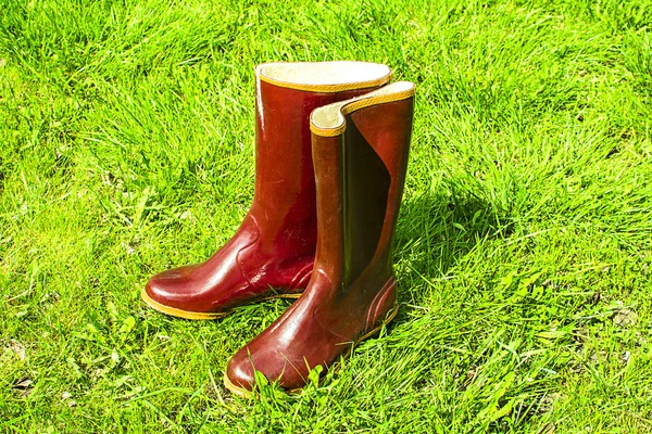 Botas de borracha velhos de pé na grama — Fotografia de Stock