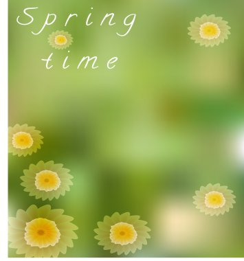 Camomiles kartıyla bahar