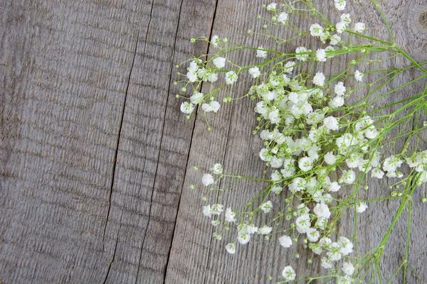 White flowers. Bouquet of gypsophila on a wooden background. — Stock Photo, Image