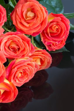 Siyah arka plan üzerine taze kırmızı gül buketi. Sevgiliye arka plan. Düğün günü.