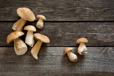 Ormandaki bir rustik ahşap masa, havai görünümü üzerinde taze beyaz mantar.